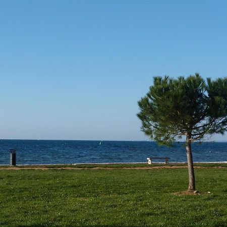 Lovely Fazana Apartments 400M From The Sea Exteriér fotografie